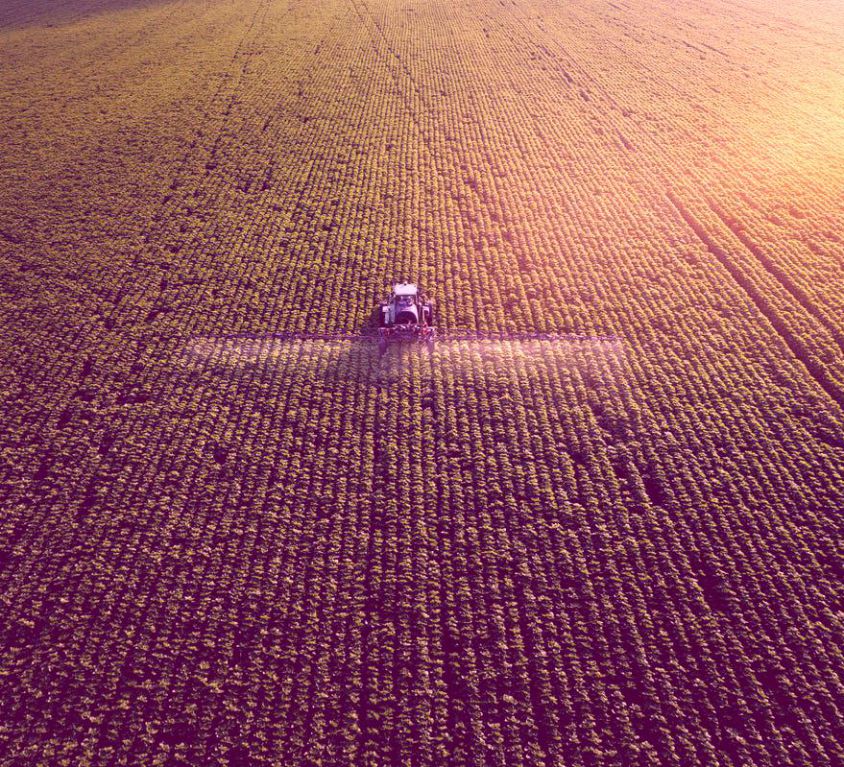 Agriculture